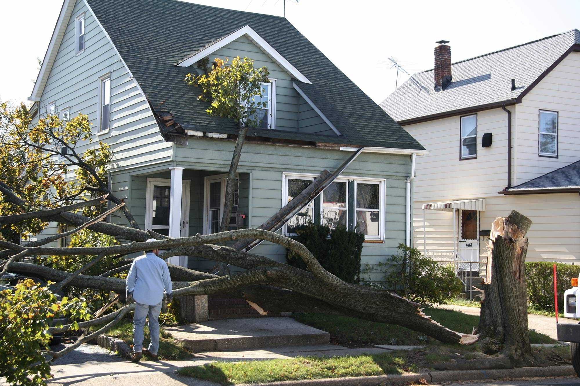 Tree falls on front of house.
